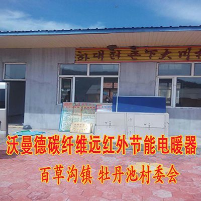 吉林 汪清 村委會(huì)